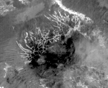 Channels's Network in Uzboi Vallis (2 - EDM)
Forse ci sbagliamo, ma il ragionamento che sta alle spalle dell'enfasi posta sulle (onestamente meno probabili, in termini di vita secondo lo schema terrestre) analogie Terra/Titano e sulla costante indifferenza rispetto alle (decisamente più plausibili) analogie Terra/Marte, dovrebbe trovare la sua ragione in questo: è molto più semplice (ed anche molto più sicuro) far "girare a vuoto" la mente degli Osservatori suggerendo loro delle ipotesi affascinanti, ma improbabili, piuttosto che rinforzare le supposizioni e le aspettative già esistenti ponendo accenti sempre più marcati sulle profonde (e talora inequivocabili) similitudini esistenti fra il nostro Mondo e Marte.

Non dimentichiamo, infatti che il Pianeta Rosso non è solo più vicino e familiare, ma è anche - decisamente - più accessibile ad una verifica diretta: in fondo, sono solo cinque mesi e mezzo di viaggio...
Parole chiave: Mars from orbit - Channels/Troughs - controversial image