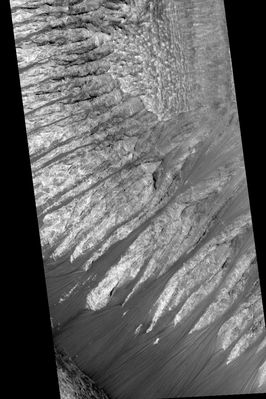 Sample scarp edge in layered unit in Melas Chasma or... Frozen Waterfalls on Mars? (3)
Prima di entrare nel dettaglio dei commenti (che svolgeremo avvalendoci di qualche ingrandimento delle aree più controverse di questa Regione), Vi invitiamo ad andare a controllare direttamente il frame MGS originale (o la 'striscia', se preferite...) all'indirizzo che Vi abbiamo fornito con la prima sezione di questo panorama Marziano. In effetti, per capire quanto sia difficile svolgere attività di ricerca in questo campo noi riteniamo importante che Voi Lettori guardiate anche l'insieme, cioè la 'totalità', e non solo la singola 'porzione'.
Perchè?
Perchè, la maggior parte delle volte, quello che distingue un semplice e diffuso (ma non particolarmente intenso) interesse da una passione che, con il tempo, può diventare un lavoro, è proprio la capacità di intuire e cogliere - prima - e di vedere ed elaborare - poi - usando una 'striscia' simile a migliaia di altre, quel dettaglio che, un giorno, potrebbe aver costituito uno dei primi mattoni nella costruzione dell'Edificio della Nuova (e "Libera") Scienza.
Parole chiave: Mars from orbit - controversial image