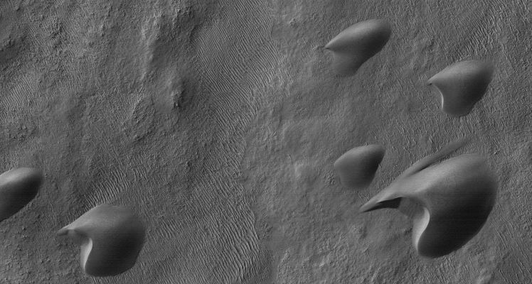 The Dunes of Ogygis (Original NASA/MGS/MSSS b/w Frame)
Caption NASA originale:"This MGS-MOC image shows dark Sand Dunes, with a thin coating of Autumn Frost, in the Ogygis Regio, West of the Argyre Basin. The steepest Slopes on the Dunes (such as their "Slip Faces"), point toward the North-North/East (lower left), indicating that the Dominant Winds in the Region blow from the South-South/West (upper right)".  

Location near: 50,4° South Lat. and 66,6° West Long.
Image width: ~3 Km (~1,9 mi)  
Illumination from: upper left  
Season: Southern Autumn
Parole chiave: Mars from orbit - Dunes - Ogygis Region