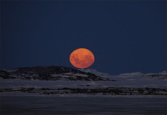 Alien Landscape (Moon over Antarctica)
Da "NASA - Picture of the Day" del 25 Novembre 2005:"Last week, the nearly Full Moon set along the Northern Horizon - as seen from Davis Station, Antarctica. The squashed orange pumpkin shape just silhouettes the peak of a distant iceberg in this stunning view. 
The Moon's apparently squashed shape is due to atmospheric bending of light or refraction - an effect which is more severe closer to the horizon. Skimming low along the stark features of the frozen landscape, the Moon's lower edge appears noticeably more distorted than the upper limb. Along with about 70 others present at Davis Station, Dr. Jim Behrens had a chance to enjoy the view while studying the ongoing detachment of a large iceberg known as "Loose Tooth". 
Parole chiave: Artistic Pictures