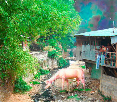 The Year of the Unicorn (by Michael Wirtz)
Ancora un'Opera Digitale (anche se sarebbe meglio dire una 'visione') dell'Amico Michael Wirtz: si tratta di una splendida veduta pomeridiana - con Unicorno e "Cielo Alieno" - del Tay-Tay Canal (nei pressi di Manila - Filippine).

Parole chiave: The Universe Inside