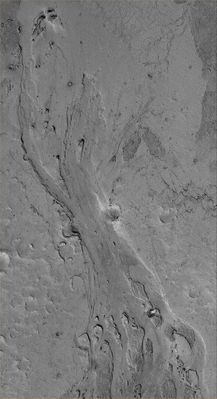 Controversial Features of Zephyria Planum (Original NASA/MGS/MSSS b/w Frame)
Original caption:"This MGS-MOC image shows a portion of a shallow Channel carved in the Plains of the Zephyria Region of Mars. This feature might be the result of the passing of either extremely fluid Lava or, perhaps, Mud".

Location near: 5,1° North Lat. and 203,7° West Long.  
Image width: ~3 Km (~1.9 mi)  
Season: Northern Winter  
Parole chiave: Mars from orbit - Volcanic features - Lava/Mud Flows in Zephyria Planum