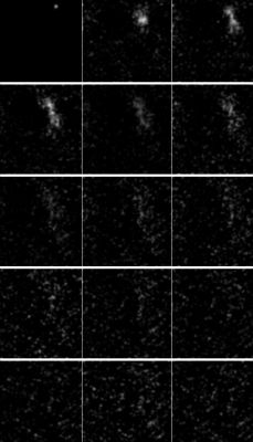 The Impact Sequence
Caption ESA originale:"Analysis of images obtained at the CFHT by Christian Veillet have revealed a plume of debris thrown up when SMART-1 impacted the Lunar Surface. 
The observations were made with the WIRCam wide-field infrared camera with 10s exposure time through an H2 narrow-band filter at 2122 nanometers with a 32 nanometers bandwidth. 
Each image is approximately 2'x 2', equating to 200x200 Km".
Parole chiave: The Moon from Earth - SMART-1 Impact