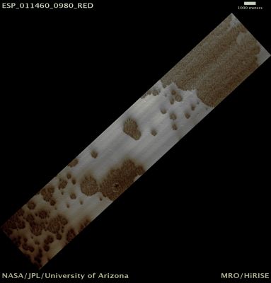 Monitor Seasonal Changes at a South Polar Cracked and Gullied Site (Natural Colors; credits: Lunar Explorer Italia)
Mars Local Time: 17:02 (middle afternoon)
Coord. (centered): 81,7° South Lat. and 66,3° East Long.
Spacecraft altitude: 246,5 Km (such as about 154,1 miles) 
Original image scale range: 49,3 cm/pixel (with 1 x 1 binning) so objects ~ 1,48 mt across are resolved 
Map projected scale: 50 cm/pixel
Map projection: EQUIRECTANGULAR 
Emission Angle: 1,2° 
Phase Angle: 86,5°
Solar Incidence Angle: 85° (meaning that the Sun is about 5° above the Local Horizon)
Solar Longitude: 186,1° (Northern Autumn)
Credits: NASA/JPL/University of Arizona
Additional process. and coloring: Lunar Explorer Italia
Parole chiave: Mars from orbit - South Polar Regions - Cracks and Gullies