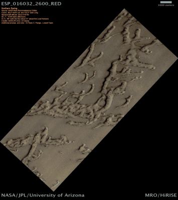 Northern Spring (CTX Frame - Natural Colors; credits: Dr Paolo C. Fienga - Lunexit Team)
In the Winter a layer of Carbon Dioxide (CO2) ice (such as Dry Ice) covers the North Polar Sand Dunes. 
In the Spring the sublimation of the ice causes a host of uniquely Martian Phenomena.
Parole chiave: Mars from orbit - North Polar Features - Dark Streaks