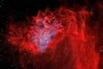 IC-405-The_Flaming_Star_Nebula-Geissinger1700.jpg